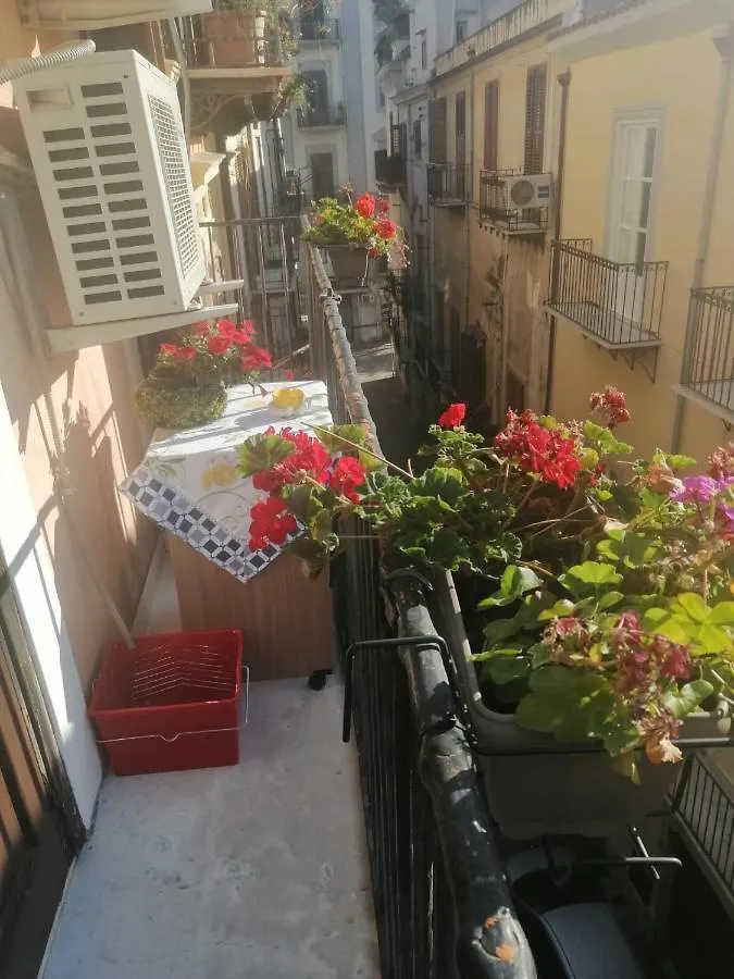 Bed & Breakfast Casa Vacanza Ligia Aurora Palermo Italy